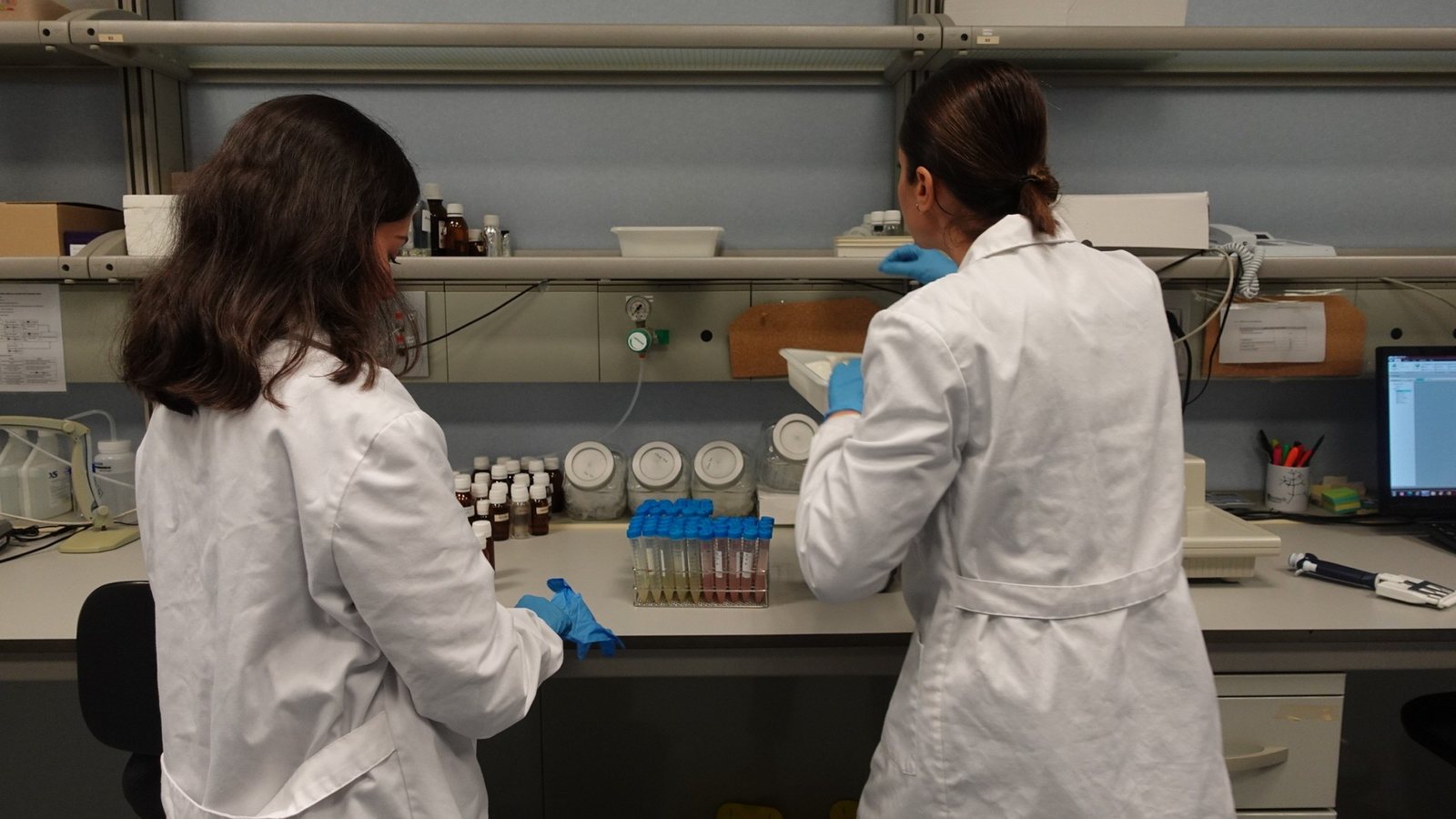 Traballo de analítica con microplacas e pipeteo multicanle